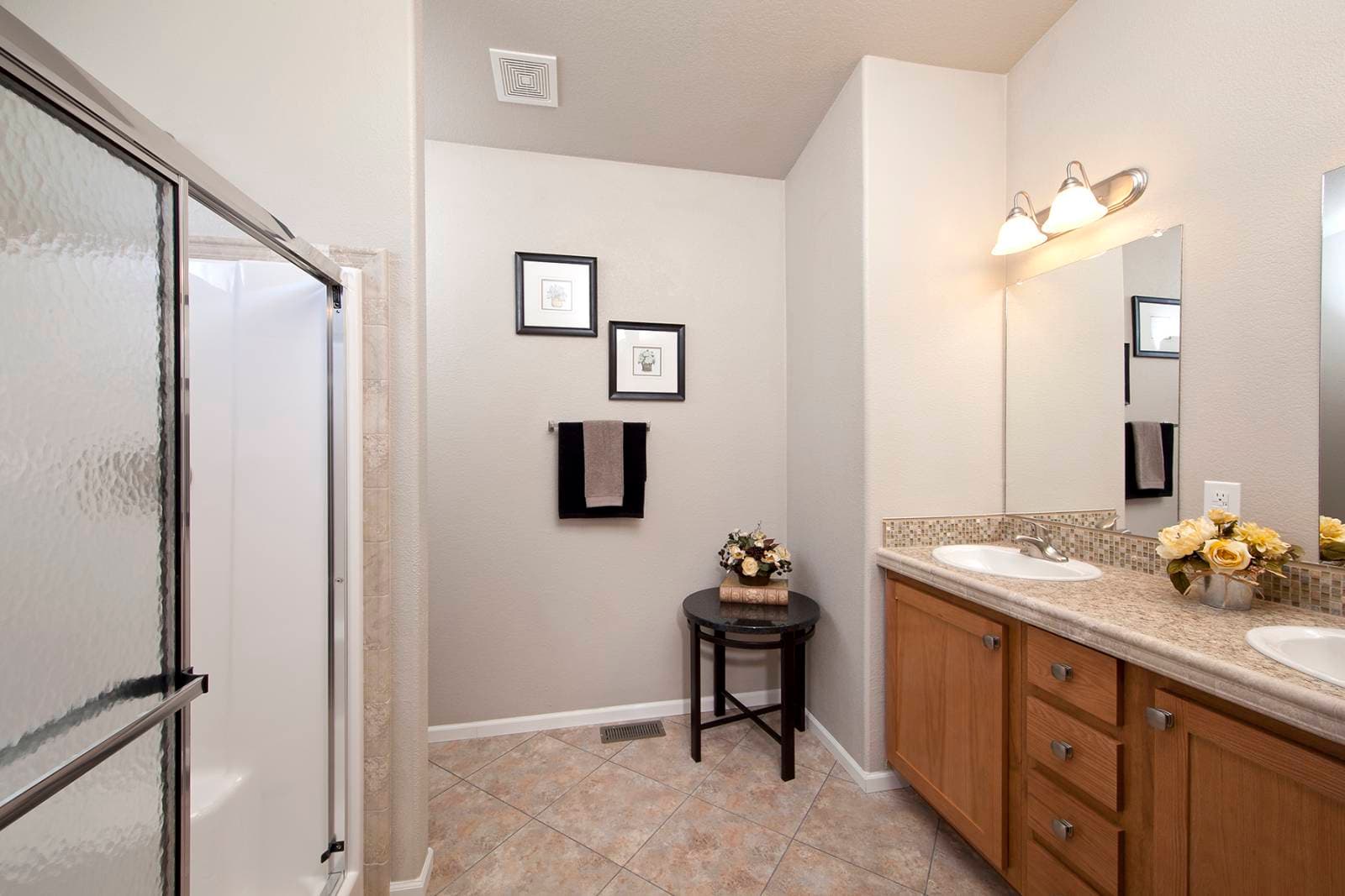 Catalina bathroom home features