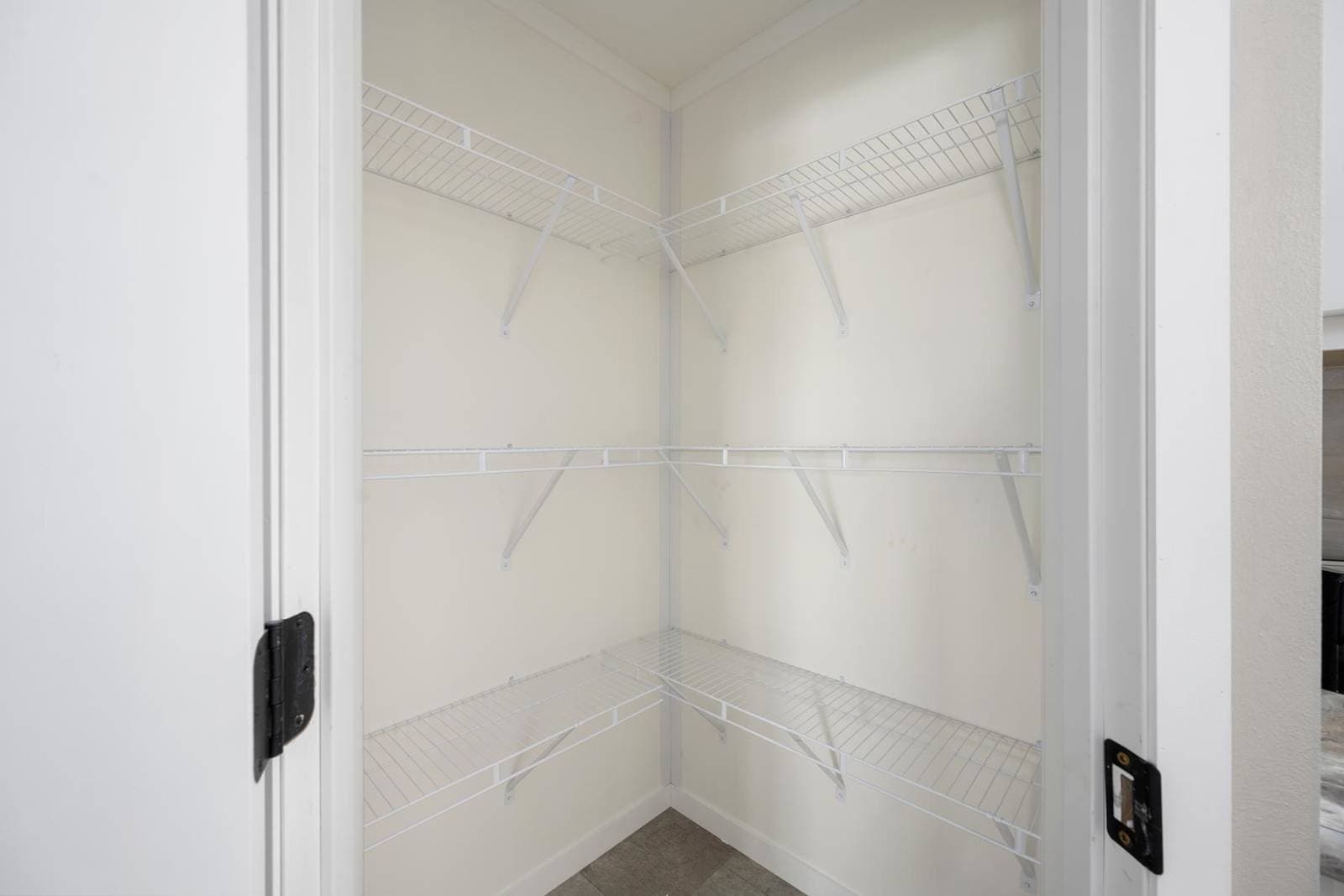 Elevate 52 kitchen home features